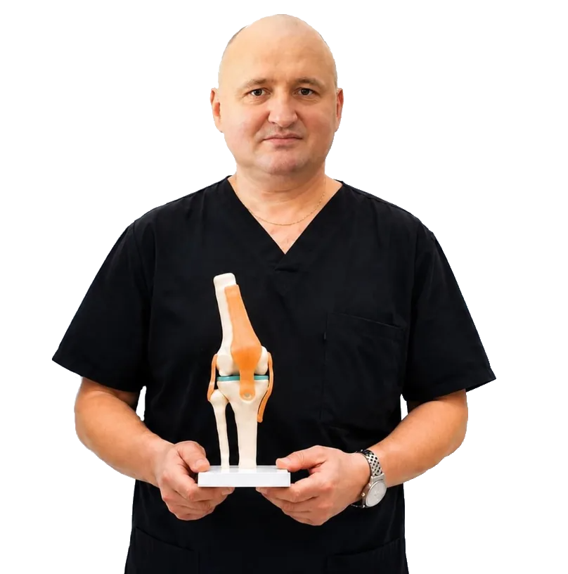 Врач с анатомической моделью коленного сустава